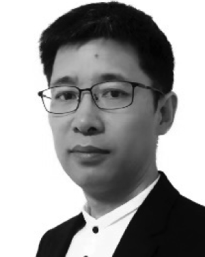 Qing Jiang
