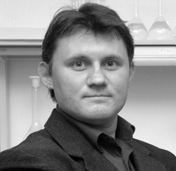 Oleksandr L. Stroyuk