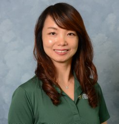 Tingting Yan