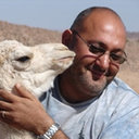 Farid Belbachir