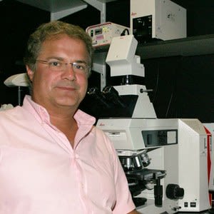Zoltan Molnar