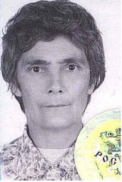 A. S. Gambaryan