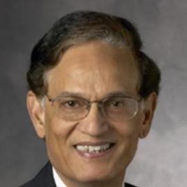 Krishna Saraswat