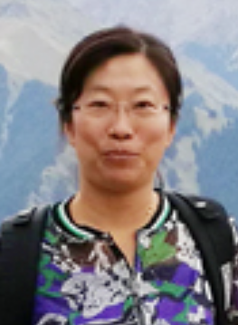 Limei Tian