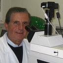 Pietro Muretto