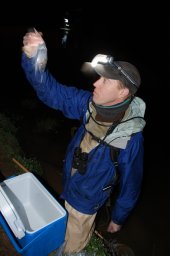 Patrick M. Kleeman