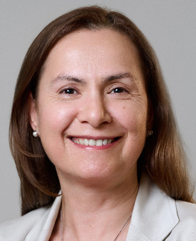 Hulya Bayir