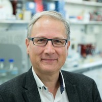 Bart Vanhaesebroeck