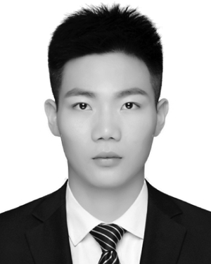 Wei Meng