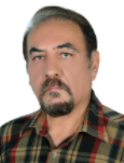 Shahrokh Hosseini Hashemi