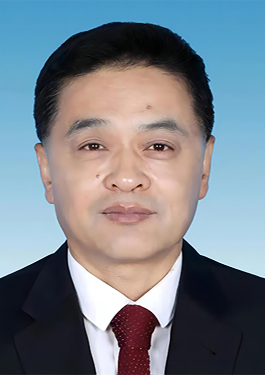 Jingwei Qi