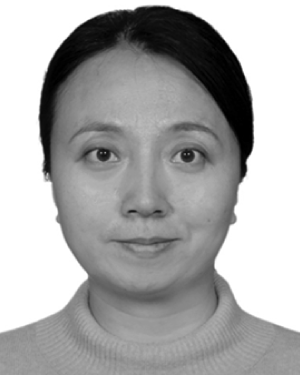 Liuyan Han