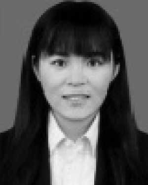 Xiaoqing Fan