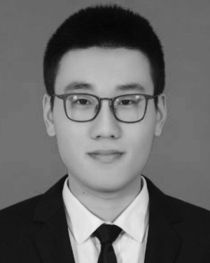 Haoyu Chen
