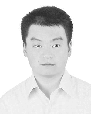 P. Z. Wu