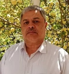 Mohammad Reza Rezaie