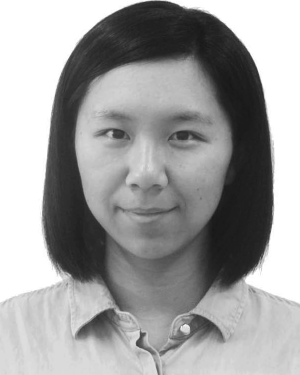 Longmei Li