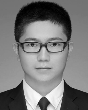 Weiya Kong