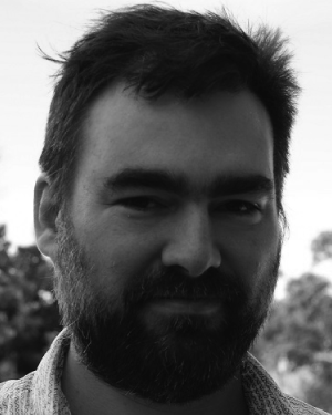 David W. Bulger