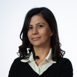 Evin Iscan