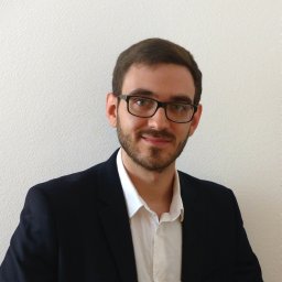 Ludovic Sacchelli
