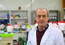 Pedro Grandes