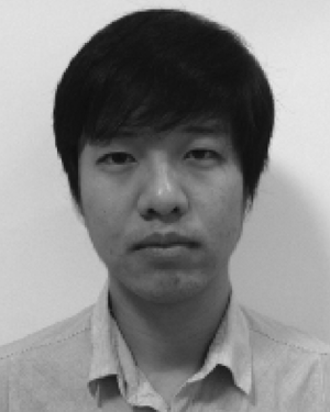 Qiang Ye