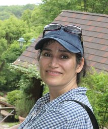 T. Soltani