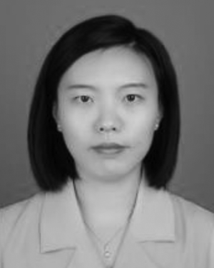Haiyan Qiang