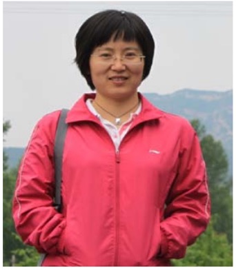 Hua Chen