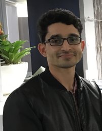 Syed W Shah