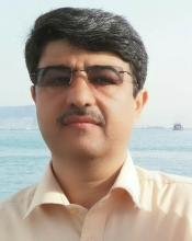 Loueipour, Mehdi