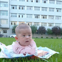 Qiumei xu