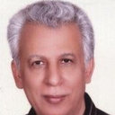 Abdel-monem Mohamed Amer