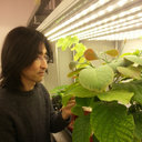 Minsung Kim
