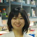 Seiko Yamamoto