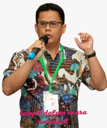 Nirza Warto