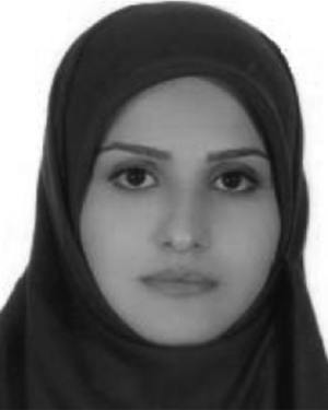 Marzieh S. Tahaei
