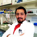 Ahmed Abed