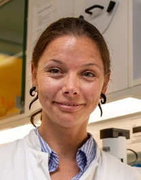 Renee M. Van Der Sluis