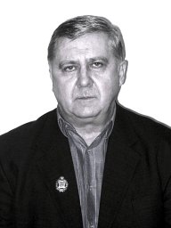 V. G. Sredin