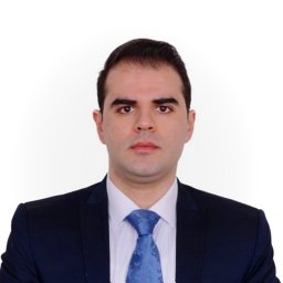 Seyed Armin Mirnikjoo