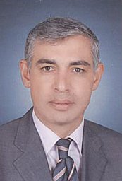Moustafa Fathy Abdelsattar