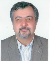 Rokn Amir Reza