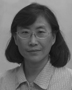 Mei-Qin Chen
