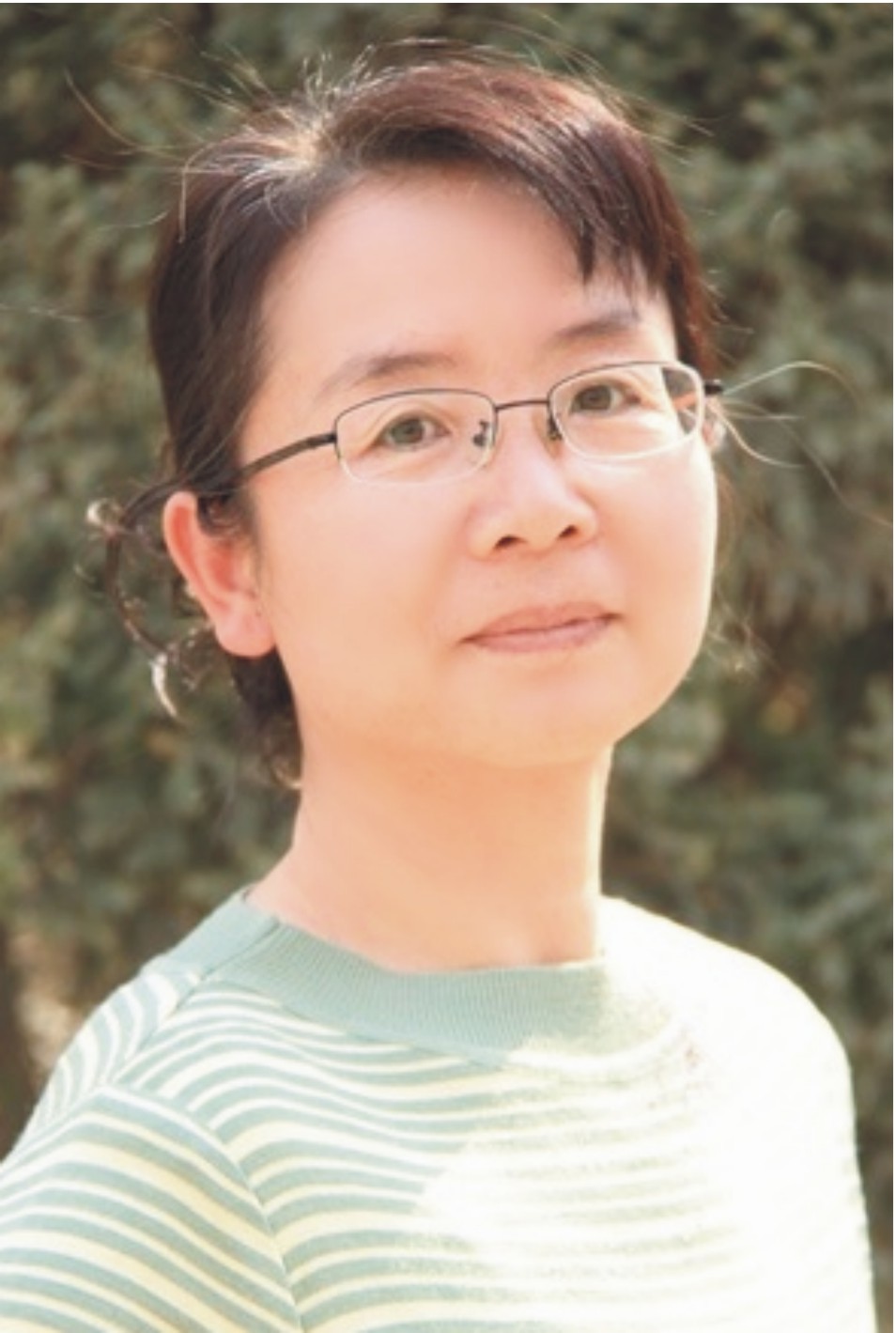 Hongying Li