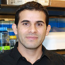 Hadi Khalil