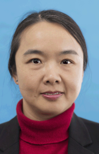 Jiahui Lei