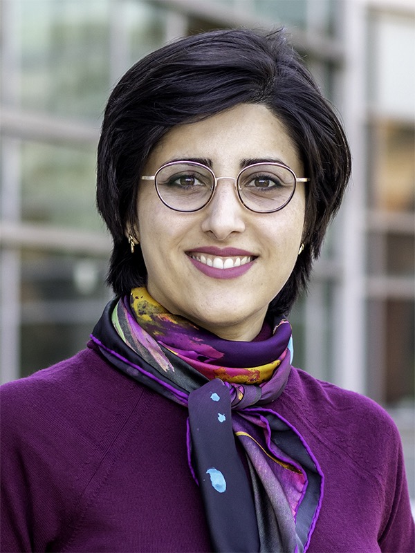Elahe Soltanaghai
