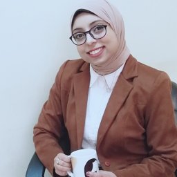 Heba A Fathi